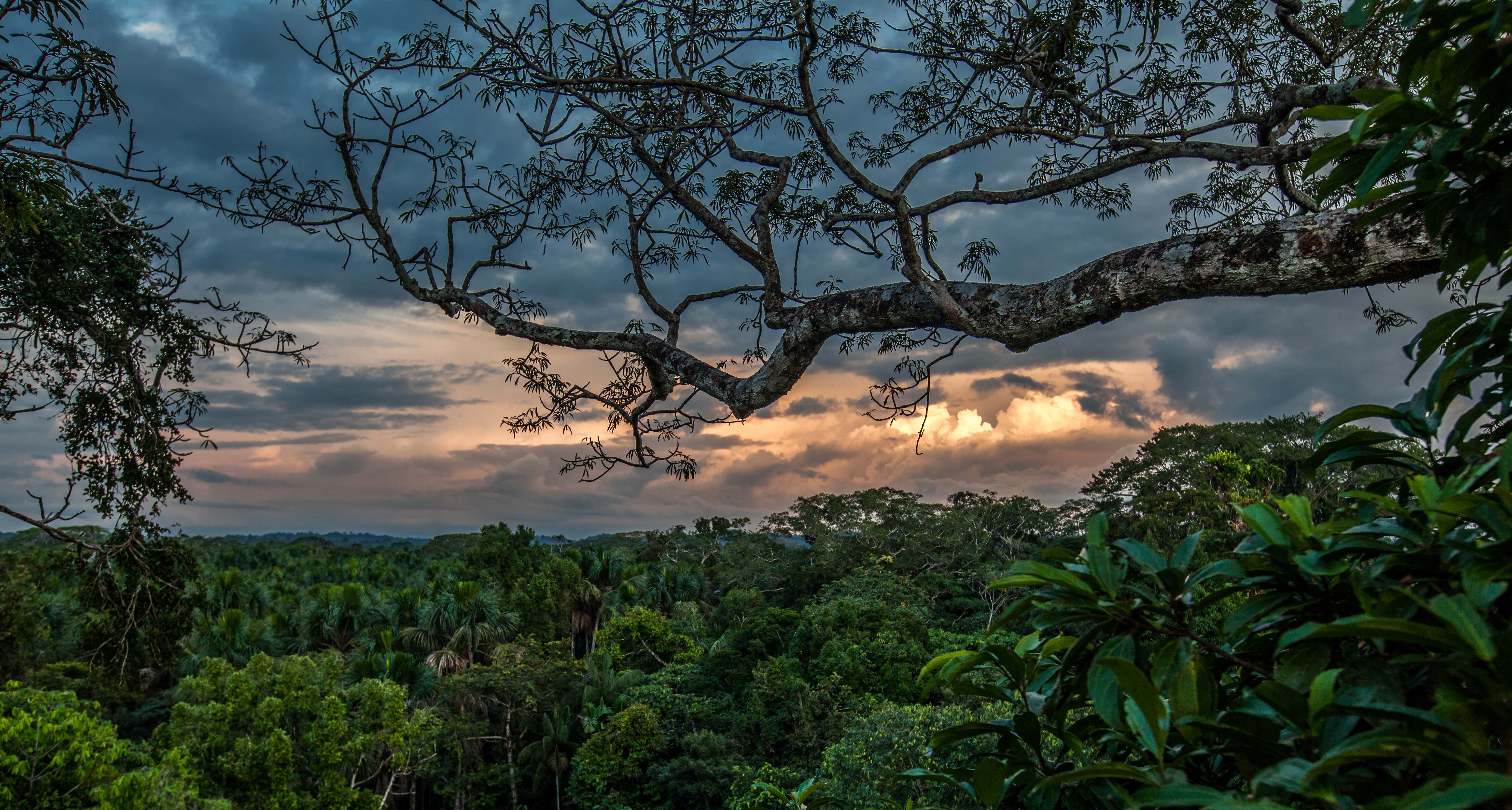 Amazon Waterfalls