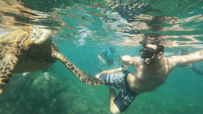 Retiro en Ecuador y sus Islas Galápagos